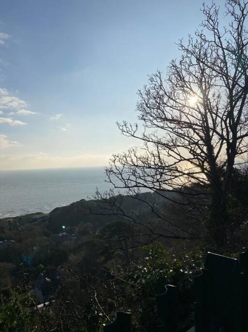 Peaceful Coastal Apartment Ventnor Dış mekan fotoğraf